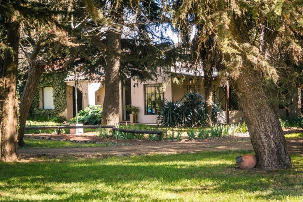 El Estanque De Tandil