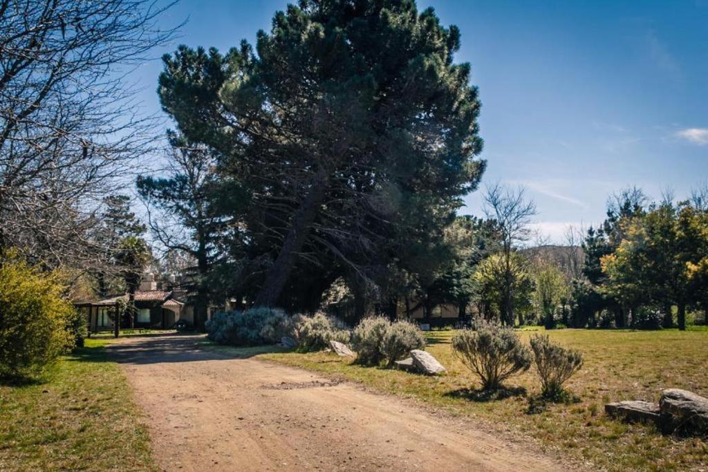 El Estanque De *